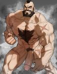  1boy abs bara body_hair erection hydaria male_focus muscle pecs penis presenting scar smile solo street_fighter tagme uncensored 