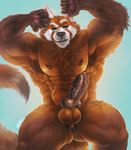  2017 5_fingers abs aery animal_genitalia animal_penis anthro armpit_hair balls biceps big_muscles biped black_claws black_nose black_penis blue_background brown_fur brown_nipples brown_tail canine canine_penis chumbasket claws digital_media_(artwork) dipstick_tail erection eyebrows fluffy fluffy_tail front_view fur green_eyes hi_res hybrid knot looking_at_viewer male mammal multicolored_tail muscular muscular_male nipples nude orange_balls orange_fur orange_tail pecs penis portrait raised_eyebrow red_panda serratus signature simple_background smile smirk solo standing three-quarter_portrait vein veiny_penis were werewolf white_eyebrows white_fur 