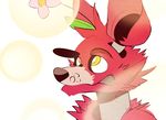  2017 animatronic beiju15 canine eye_patch eyewear five_nights_at_freddy&#039;s flower fox foxy_(fnaf) machine mammal plant robot video_games 