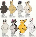  abs belly big_breasts black_fur bolt bolt_(film) breasts brown_fur canine disney dreamworks feline fennec fox fur grey_fur hat heather_(over_the_hedge) lion mammal marsupial muscular nipples opossum over_the_hedge oystercatcher7 pubes ratchet ratchet_and_clank shocket_raccoon skunk sly_cooper sly_cooper_(series) stella_(over_the_hedge) stripes video_games voluptuous white_fur yellow_fur 