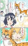  1girl animal bandage_over_one_eye bandaged_head bandages doctor kaban_(kemono_friends) kemono_friends open_mouth serval serval_(kemono_friends) shiina_takashi translated 