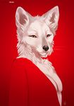  2017 anthro beauty_mark biped black_nose breasts bust_portrait canine cheek_tuft cleavage clothed clothing digital_media_(artwork) digital_painting_(artwork) eyelashes female fluffy front_view frown fur furlana head_tuft hi_res inner_ear_fluff mammal medium_breasts neck_tuft portrait red_background red_clothing red_eyes red_topwear restricted_palette shirt signature simple_background solo standing tuft whiskers white_fur 