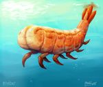  2017 ambiguous_gender arthropod crustacean food_creature marine mataknight multi_leg multi_limb shrimp signature solo swimming underwater water what_has_science_done 