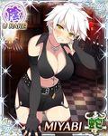  1girl breasts large_breasts miyabi_(senran_kagura) senran_kagura solo tagme 