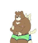  2017 anthro bear brown_fur bulge clothing duo fur hug hugging_from_behind male mammal nipples simple_background slightly_chubby underwear white_background 