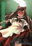 animal_ears blush brown_eyes cover cover_page from_below full-face_blush imaizumi_kagerou long_hair looking_at_viewer looking_down smile solo touhou yudepii 