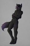  2017 anthro black_fur black_hair black_nose canine claws crossed_arms digital_media_(artwork) ear_tuft folf fox fur gloves_(marking) hair hi_res hybrid jay kizrae leaning looking_at_viewer male mammal markings multicolored_fur multicolored_tail nude purple_eyes purple_hair purple_tail simple_background smile solo standing toes tuft two_tone_fur two_tone_tail wolf 