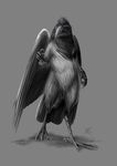  anthro avian beak bird black_beak black_eyes black_feathers corvid crow feathered_wings feathers grey_background greyscale jackrow male monochrome nude simple_background solo wings 