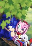  2015 amy_rose annasko anthro black_nose clothed clothing female fur green_eyes hair hedgehog hi_res male mammal one_eye_closed simple_background sonic_(series) sonic_the_hedgehog wink 