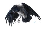  ambiguous_gender avian beak bird black_beak black_feathers brown_eyes feathered_wings feathers feral jackrow simple_background solo white_background wings 