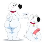 2017 alcohol anthro balls beverage blue_eyes blush brian_griffin butt canine cocktail collar dog erection family_guy half-closed_eyes looking_at_viewer looking_back male mammal martini penis simple_background solo sssonic2 white_background 