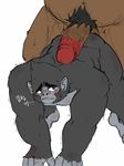  ape bear big_dom_small_sub gorilla hakiahki imminent_sex johnny_(sing) larger_male male male/male mammal muscular muscular_male nude open_mouth penis primate simple_background sing_movie size_difference 