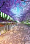  arsenixc branch cherry_blossoms commentary_request day food fruit grass highres no_humans outdoors park path road scenery shadow tree tree_shade watermark 