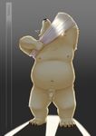  2017 anthro bear belly clothing henjikotetsu male mammal penis polar_bear shirt slightly_chubby solo 