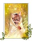  ambiguous_gender cat cloak clothing feline grass green_eyes mammal orphen-sirius sem-anthro solo sunlight 