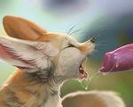  &lt;3 2017 animal_genitalia animal_penis canine canine_penis cum cute fellatio fennec fox mammal mangobird messy open_mouth oral penis realistic sex tongue tongue_out 