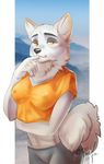  2017 anthro biped black_eyebrows black_nose breasts canine clothed clothing crop_top digital_media_(artwork) dog eyebrows female fluffy fluffy_tail front_view fur grey_bottomwear grey_clothing half-closed_eyes half-length_portrait hi_res looking_at_viewer mammal midriff nipple_bulge orange_clothing orange_eyes orange_shirt orange_topwear pillarbox portrait shirt signature snegireva solo standing white_fur white_tail 