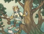  2017 anthro avian backpack barefoot bird claws clothing duo fangs feline feral food fur green_eyes mammal open_mouth open_smile outside pants sabertooth_(feature) sepia_(artist) shirt sitting smile striped_fur stripes tiger toe_claws torn_clothing tree 