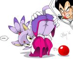  blaze_the_cat crossover dragon_ball dragon_ball_z jiky sega sonic_team vegeta 