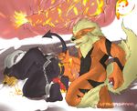  arcanine houndoom lykanthrope nintendo pokemon 