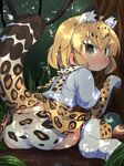  :&lt; animal_ears ass blonde_hair blush dappled_sunlight day elbow_gloves eyebrows_visible_through_hair forest from_behind fur_collar gloves grass highres jaguar_(kemono_friends) jaguar_ears jaguar_print jaguar_tail kemono_friends looking_at_viewer moyachii nature outdoors panties paw_pose print_legwear print_panties shade short_hair short_sleeves sitting solo sunlight sweatdrop tail thighhighs tree underwear yellow_eyes 