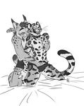  breasts cat clothing cupping feline gender_bent jaguar lynx mammal nicnak044 nicole_(nicnak044) nipples panties paws sketch underwear 