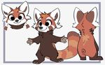  2017 ambiguous_gender anthro border briskby cheek_tuft claws disney fan_character featureless_crotch head_tuft mammal model_sheet neck_tuft red_panda simple_background solo standing tuft white_background zootopia 