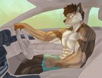  abs biceps cactua canine car machine mammal muscular pecs riding shredded sunset vehicle 