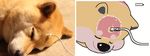  animated battery cable canine charging cute dog feral flipnote_studio keke mammal multiple_images real shiba_inu sleeping toony 