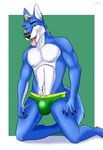  2017 5_fingers anthro athletic black_nose blue_fur bone canine cinta claws clothing dog fur green_background husky kneeling looking_at_viewer male mammal multicolored_fur pose sharp_teeth simple_background solo speedo swimsuit teeth tight_underwear tongue tongue_out two_tone_fur underwear wachhund white_fur yellow_eyes 