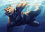  2014 abs anthro biped blue_eyes brown_fur brown_tail cheek_tuft digital_media_(artwork) feline flaccid fur male mammal muscular muscular_male nick300 nude pecs penis pink_nose signature solo swimming tuft underwater water whiskers 