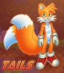  anthro balls blue_eyes blush canine chokodonkey clothing erection footwear fox fur gloves grin male mammal miles_prower mostly_nude penis shoes smile solo sonic_(series) standing 