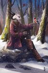  ambiguous_gender anthro avian bird brevis caprine claws clothing coat digital_media_(artwork) feline fur goat grey_fur hooves horn hybrid leg_warmers legwear mammal mountain multi_horn outside pants pink_eyes pink_nose rock scarf signature sitting smile snow tree whiskers white_fur 