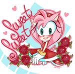  2017 amy_rose anthro chibiirose clothing female fur gloves green_eyes hedgehog mammal sonic_(series) 