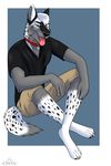  2017 4_toes 5_fingers anthro black_fur black_nose blue_background canine cinta claws clothed clothing collar digitigrade eyebrows fully_clothed fur green_eyes grey_fur hair hi_res male mammal multicolored_fur ratchet_wolf shirt shorts simple_background sitting solo spots toes tongue tongue_out two_tone_fur white_fur white_hair wolf 