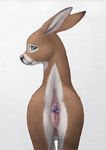  2017 anal anal_penetration anatomically_correct anatomically_correct_pussy animal_genitalia animal_pussy anus blue_eyes brown_fur butt buttplug cervine cervine_pussy deer difetra female feral fur hooves looking_at_viewer looking_back mammal nipples nude penetration presenting presenting_anus presenting_pussy pussy raised_tail sex_toy solo teats udders white_fur 