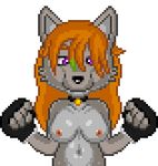  2017 animated aureola bounce bouncing breasts bust_(disambiguation) canine clare_tavin digital_media_(artwork) female h.w.t._studios jugs mammal melons nipples nude pixel_(artwork) sonictopfan tagme teenager teet teets timber_wolf timberwolf wolf young 
