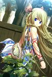  blonde_hair blue_eyes bracelet braid bug butterfly dress hair_ornament insect jewelry kouji_(astral_reverie) long_hair looking_back original plant solo tree twin_braids wristband 
