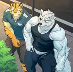  2017 anthro biceps canine clothed clothing feline fur hi_res kemono male mammal muscular muscular_male nipples pecs rossi_thukigata shirt tank_top tiger underwear 