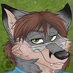  2017 anthro canine eyewear fox glasses hair headshot_portrait logan_(fox) long_hair looking_at_viewer male mammal portrait simple_background solo vincent_vontrap 