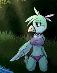  anthro avian beak bird bird_feet bush_(disambiguation) clothing collar feathers female grass green_wings heart_mark invalid_color invalid_tag leaves loretoons solo water wings 