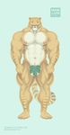  2017 abs anthro areola balls barely_visible_genitalia better_version_at_source big_arms big_balls big_penis blue_eyes blush feline fig_leaf flaccid front_view hi_res hybrid hyper hyper_muscles liger looking_at_viewer mainlion male mammal markings muscular muscular_male nipples nude pecs penis simple_background solo standing stripes subtle_penis thick_thighs url veiny_muscles 