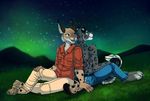  anthro barefoot black_lips blue_eyes brown_eyes brown_fur clothed clothing detailed_background digital_media_(artwork) feline fur grass leopard link male mammal night nintendo open_mouth outside redcreator sitting sky smile spots spotted_fur star starry_sky teeth the_legend_of_zelda tongue topless video_games 