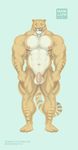  2017 abs anthro areola balls big_arms big_balls big_penis blue_eyes blush feline flaccid front_view hi_res hybrid hyper hyper_muscles licking licking_lips liger looking_at_viewer mainlion male mammal markings muscular muscular_male nipples nude pecs penis simple_background solo standing stripes thick_thighs tongue tongue_out url veiny_muscles 