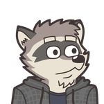  clothing facial_hair flat_colors goatee hoodie male mammal raccoon rowwuk 