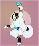  anthro anus balls canine dog husky itmepamp kaiserhusky knot looking_at_viewer male mammal paws penis piercing presenting simple_background tongue 