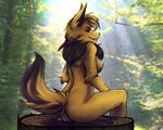  2017 anthro breasts butt eevee female looking_back nature neck_tuft nintendo nipples outside pok&eacute;mon pussy rear_view sitting smile solo tuft video_games zeiro 