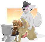  2017 anal anal_penetration blush canine digital_media_(artwork) duo eating_shit english_text erection feces male male/male mammal mustelid nastysashy_(artist) otter penetration penis scat sex text toilet wolf 