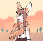  2016 anthro arm_tuft biped bra braided_hair brown_bottomwear brown_clothing brown_hair cactus clothing cloud cottontail_rabbit desert desert_cottontail_rabbit digital_drawing_(artwork) digital_media_(artwork) female front_view hair half-length_portrait lagomorph looking_away mammal midriff navel neck_tuft orange_clothing orange_theme orange_topwear outside pigtails poncho portrait rabbit scpkid sky solo sunset tuft twin_braids underwear whiskers 