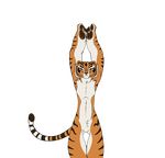 2017 alpha_channel animated anthro dancing featureless_crotch feline front_view kung_fu_panda loop mammal master_tigress nude simple_background solo tacticalmagpie tiger transparent_background 